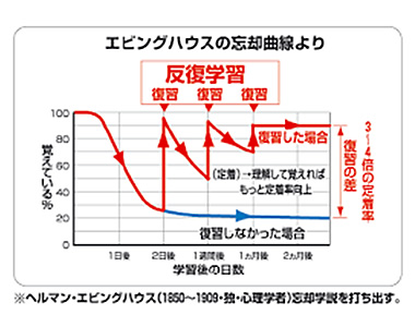 効果的な復習サイクル